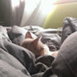 Meet your Posher, Jesus